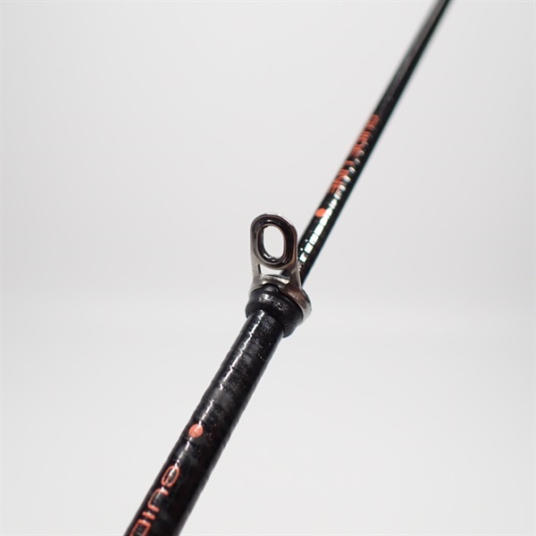 １０アオリスタイソ５００